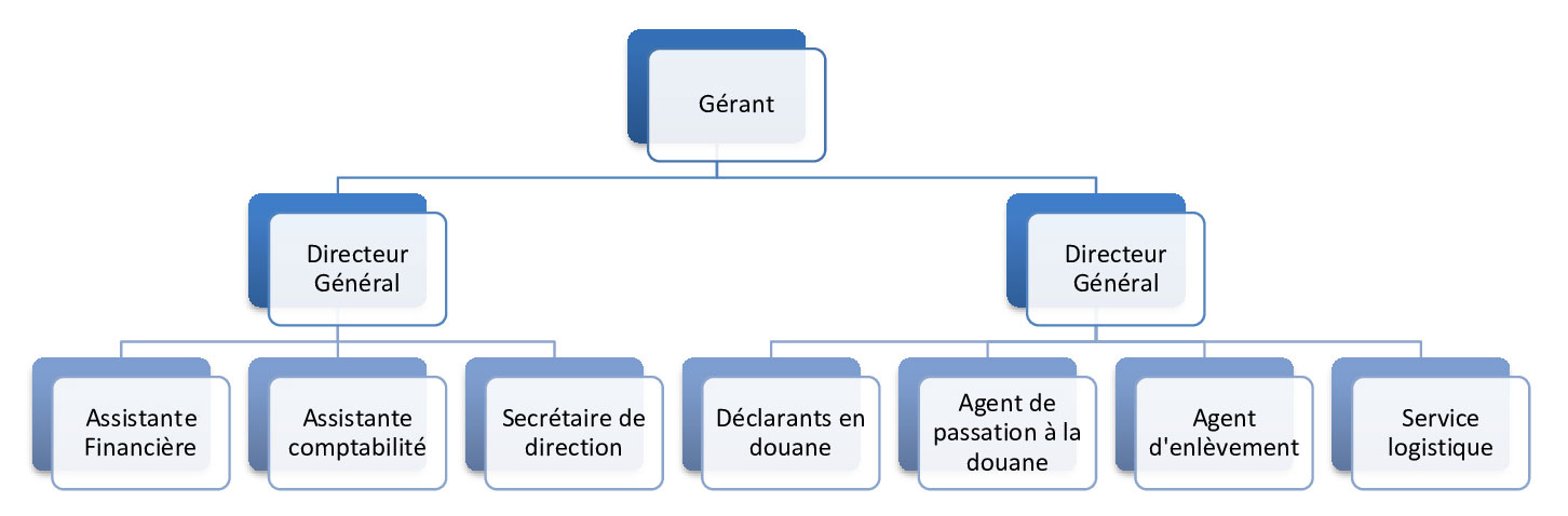 organigramme
