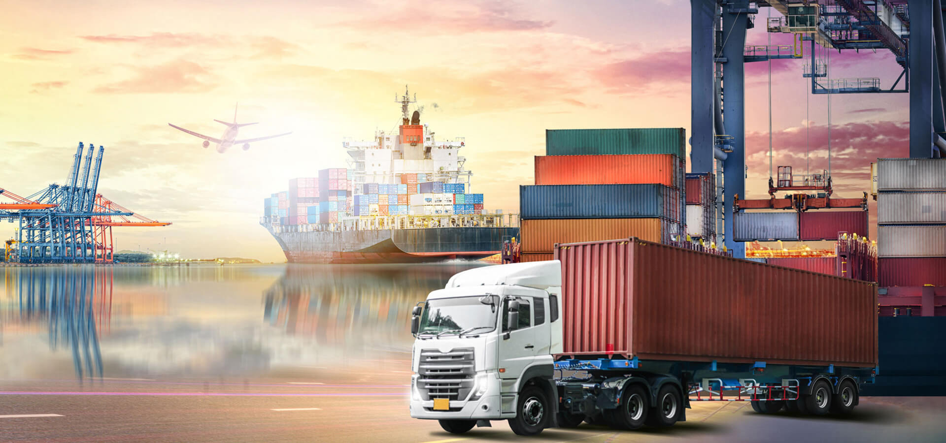 Import & Export